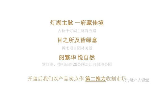 濱江首府項目年度整合推廣與公關策略方案